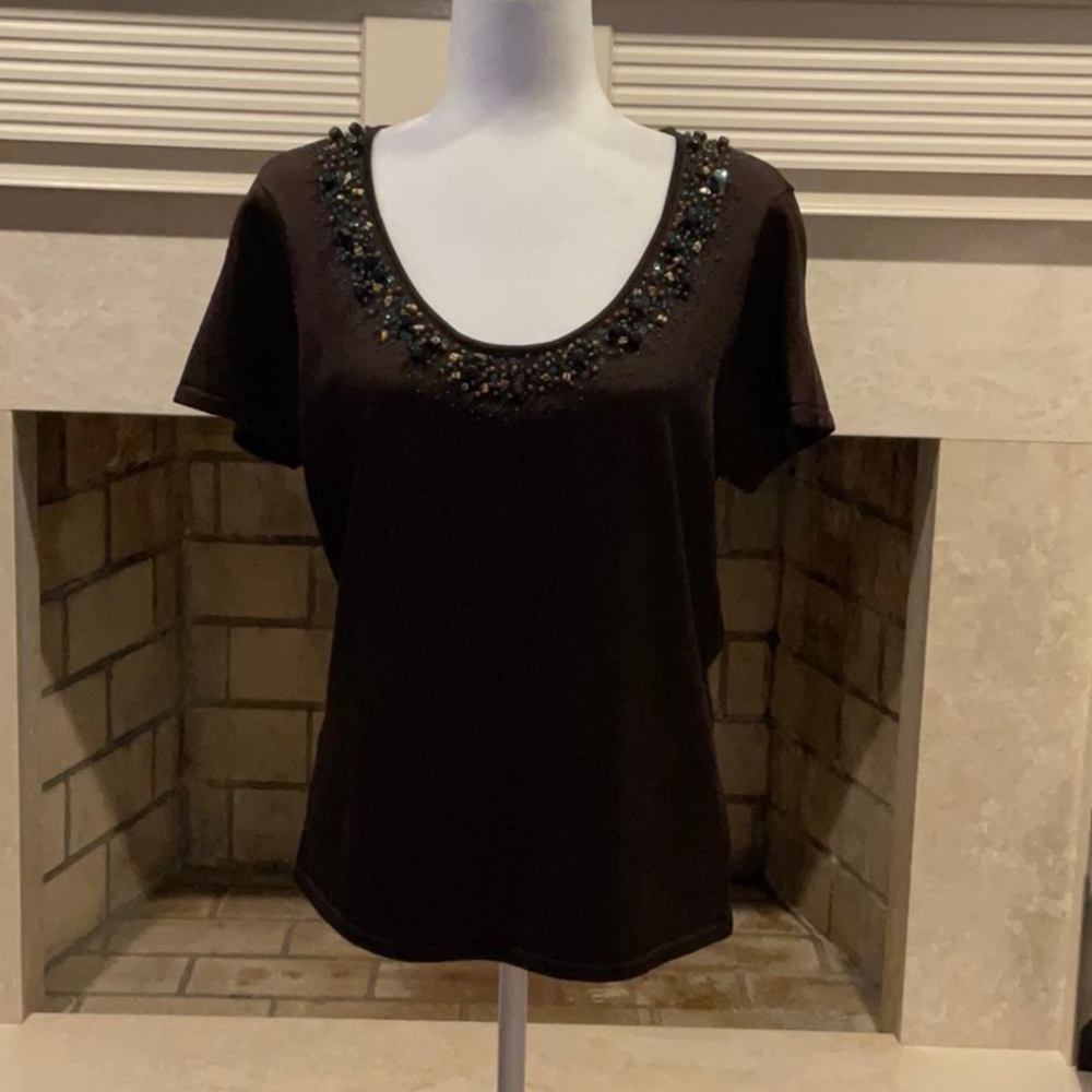 Embellished Dark Brown Beaded Scoop Neckline Silky Knit Top.